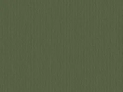 CIB8557 OLIVE GREEN