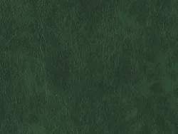 NOE12187 GREEN