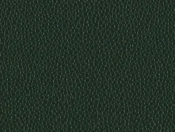 PEM9207 GREEN