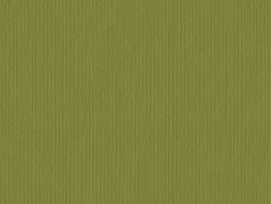 WBB572 OLIVE